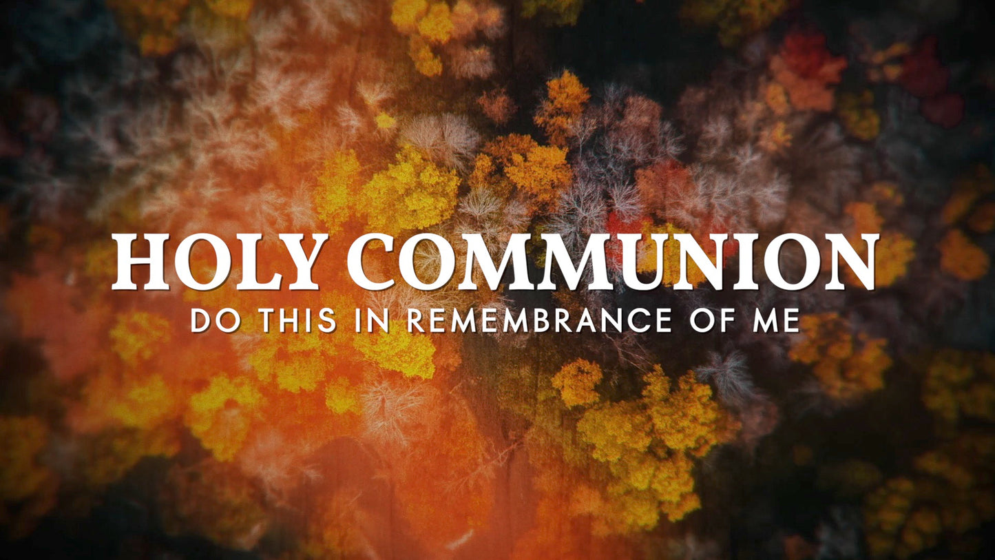 Aerial Journey Communion Still