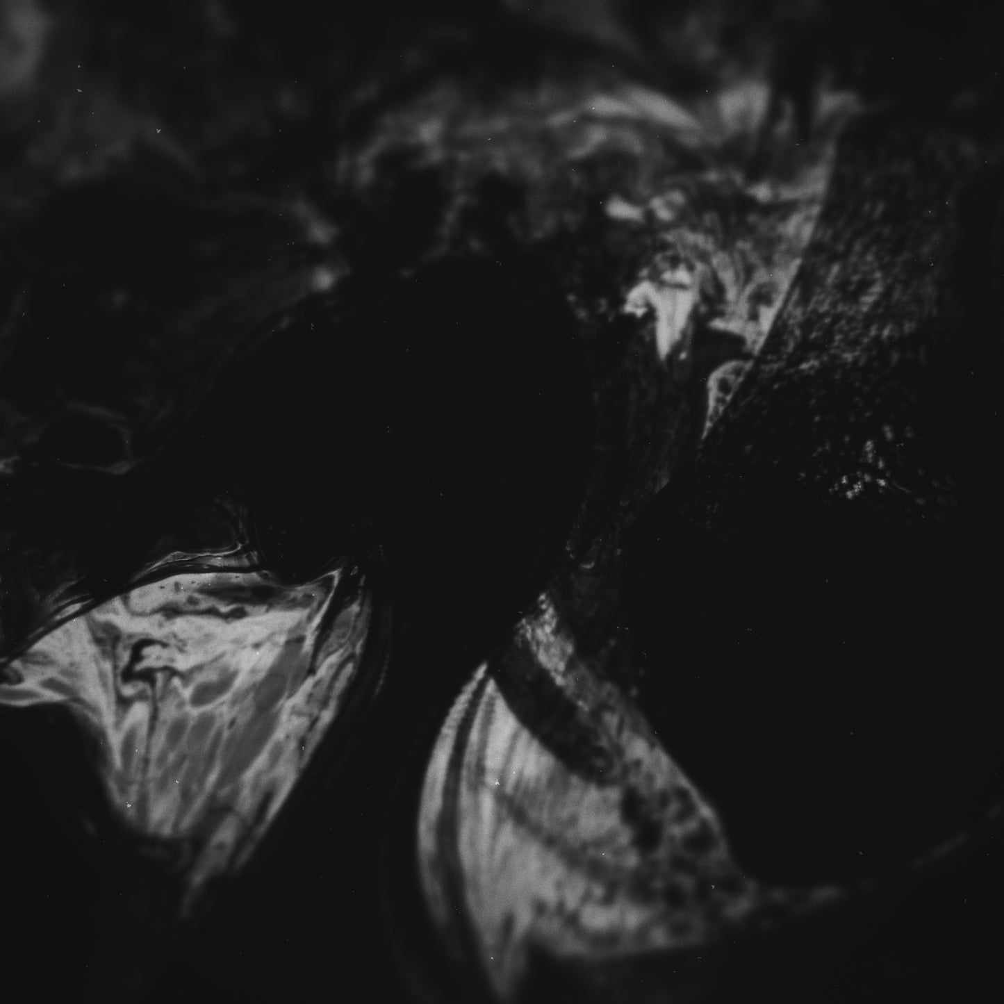 Giving Dark Distortion Blank