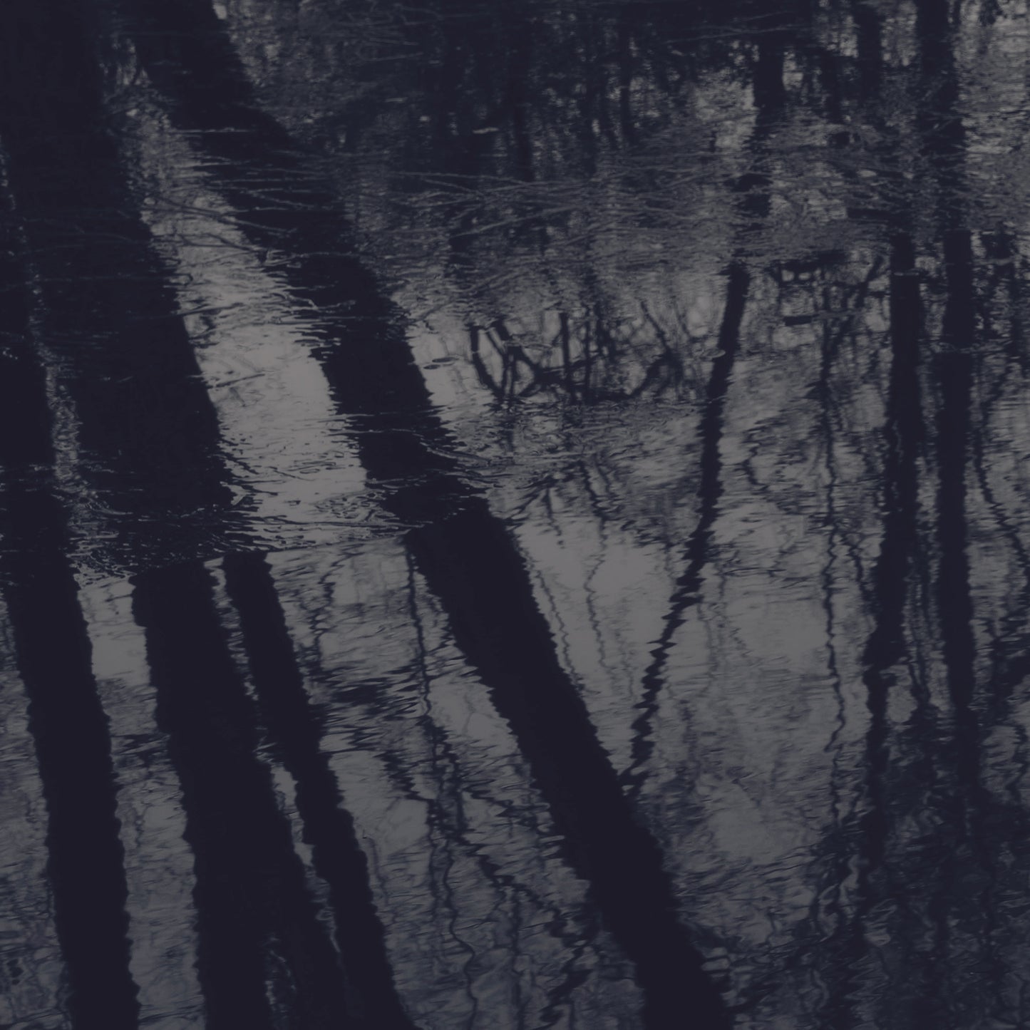 Reflections For Lent 3 Blank