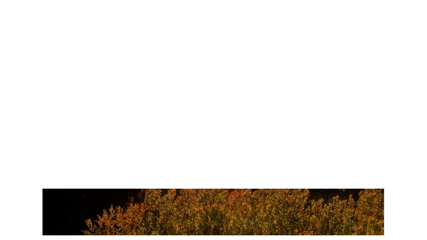 Fall Foliage Lower Third Full Blank