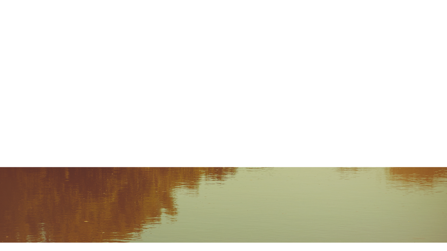 Summer Bright Lower Third Full 2