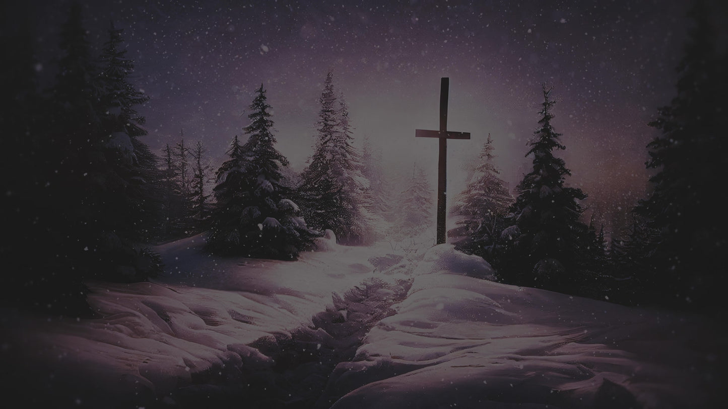 Another Winter Journey Snow Cross Alt