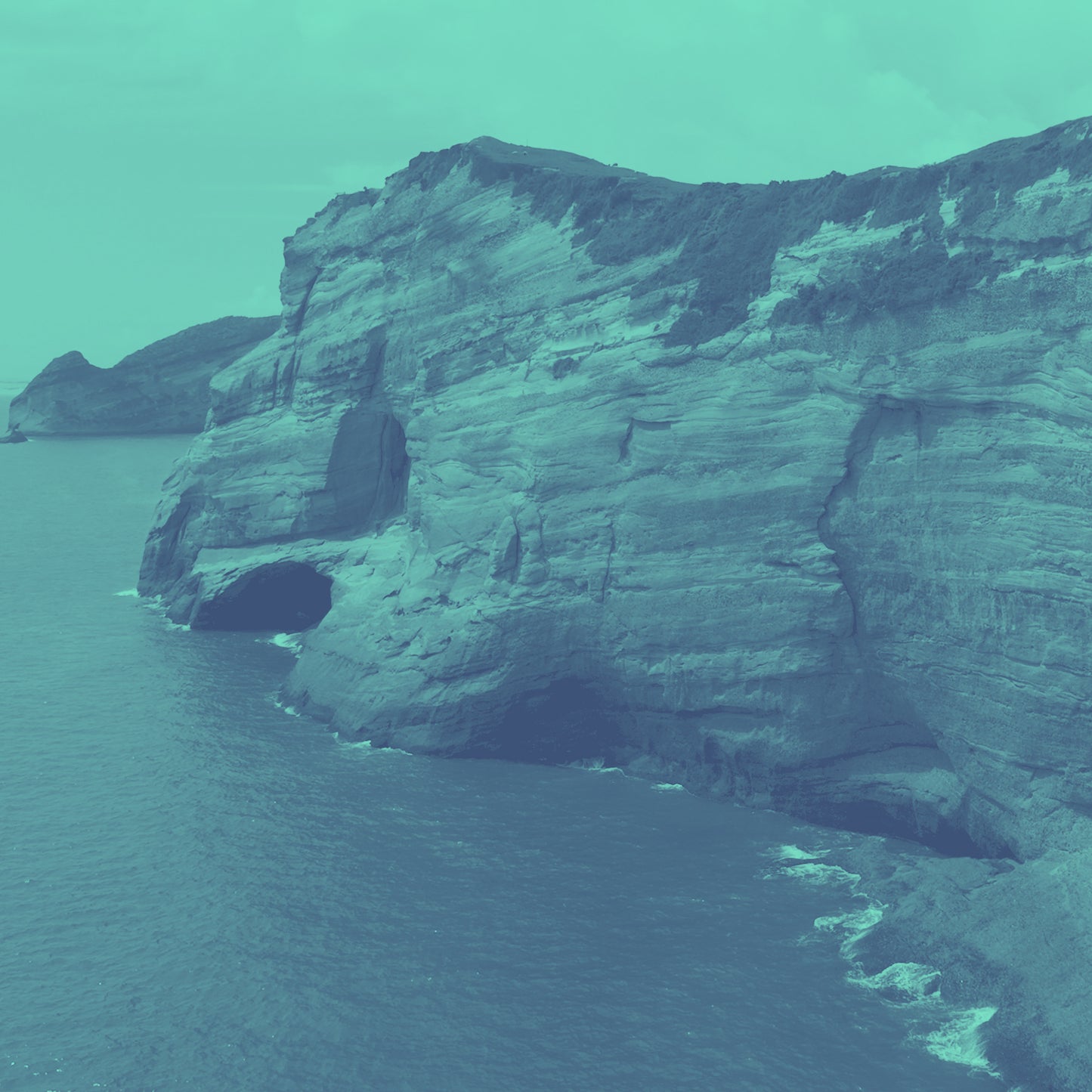 The Coast Giving Blank