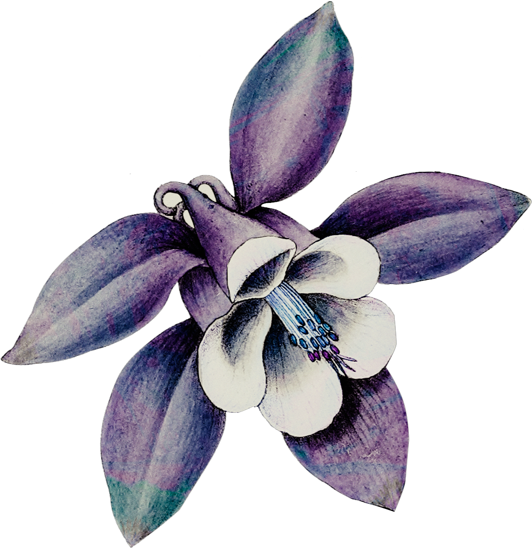 Mothers Day Glam Flower10