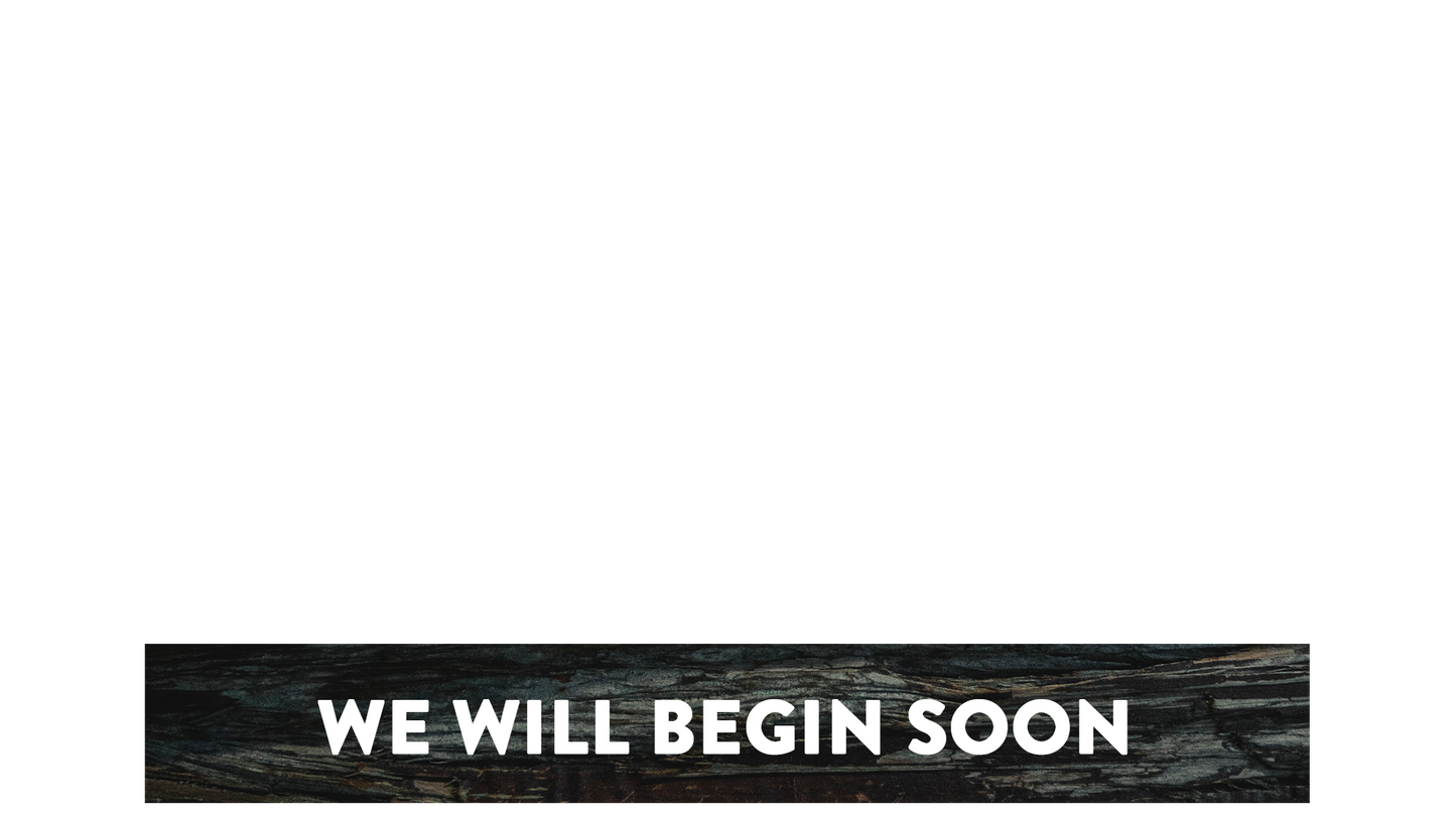 Winter Woods Lower Third We Will Begin Soon