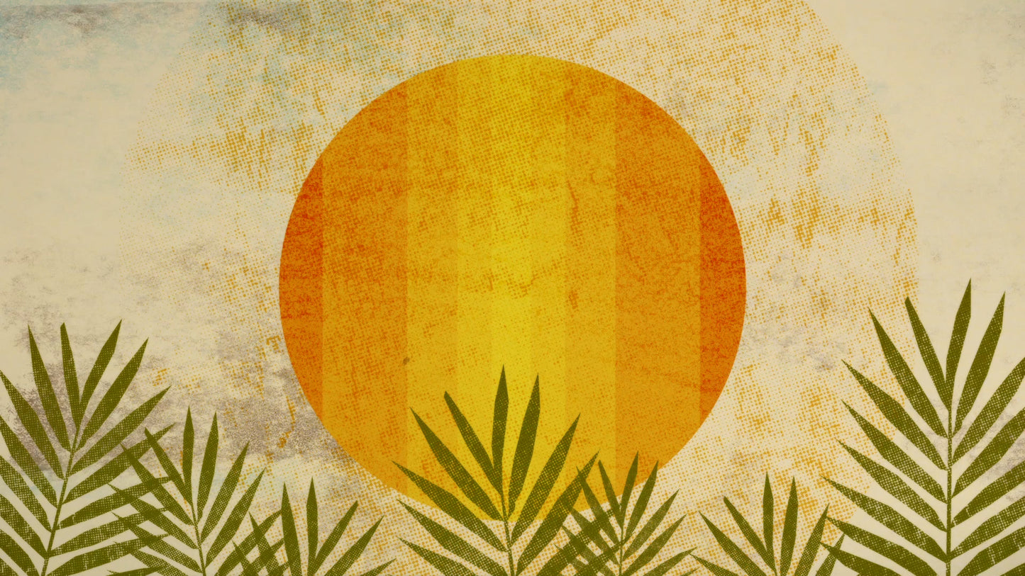 Textured Palms Title 02 Blank Still