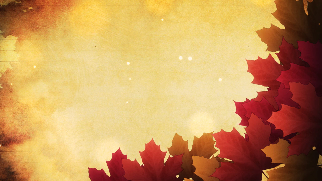 Autumn Leaves 01 Still