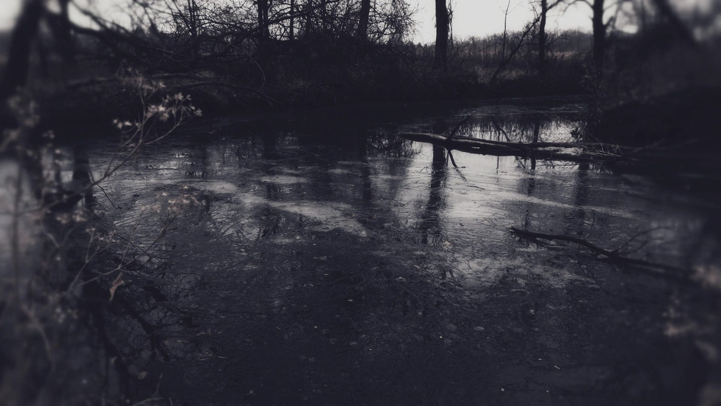 Bleak Beauty Frozen