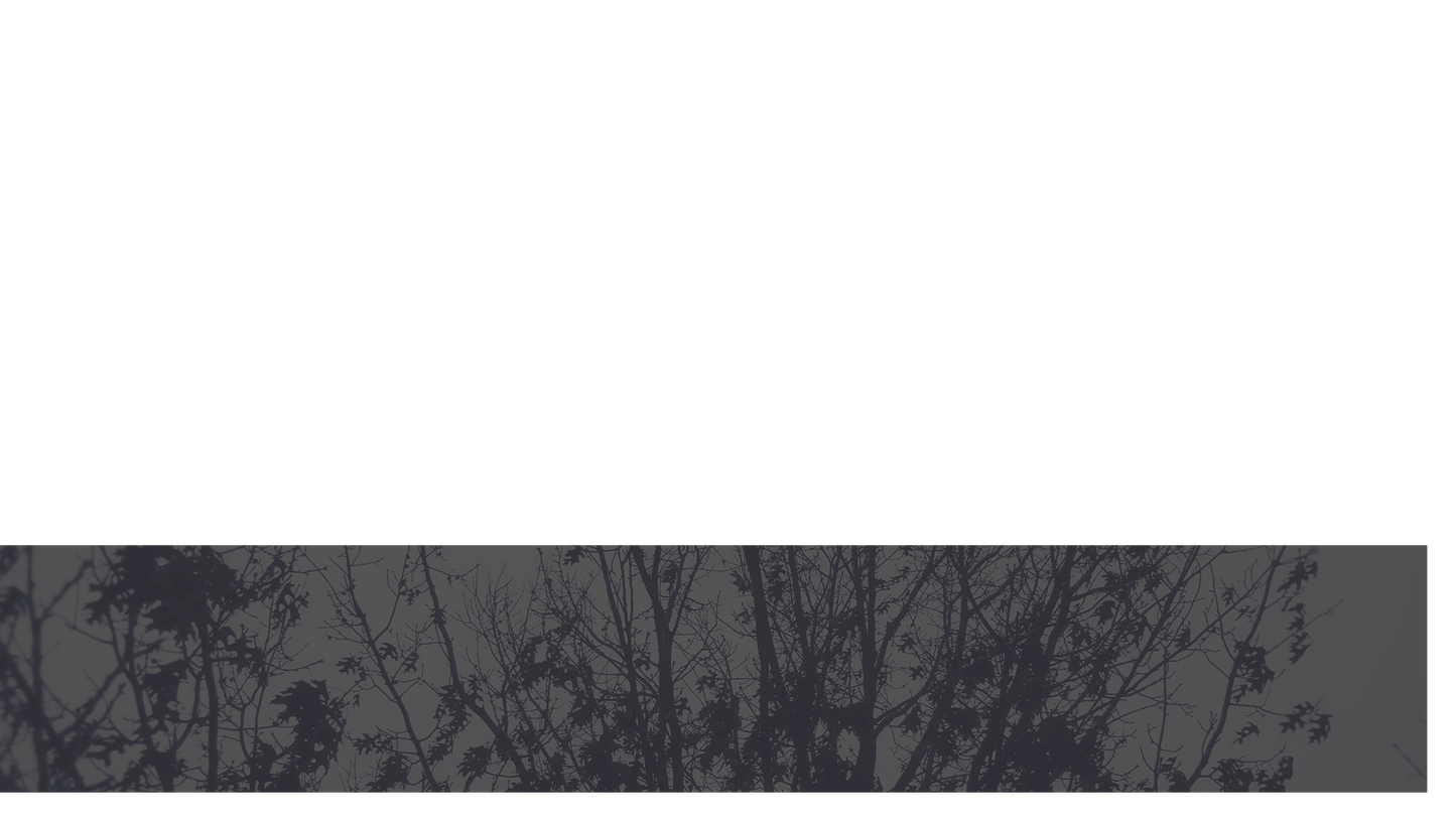 Bleak Beauty Lower Third 2