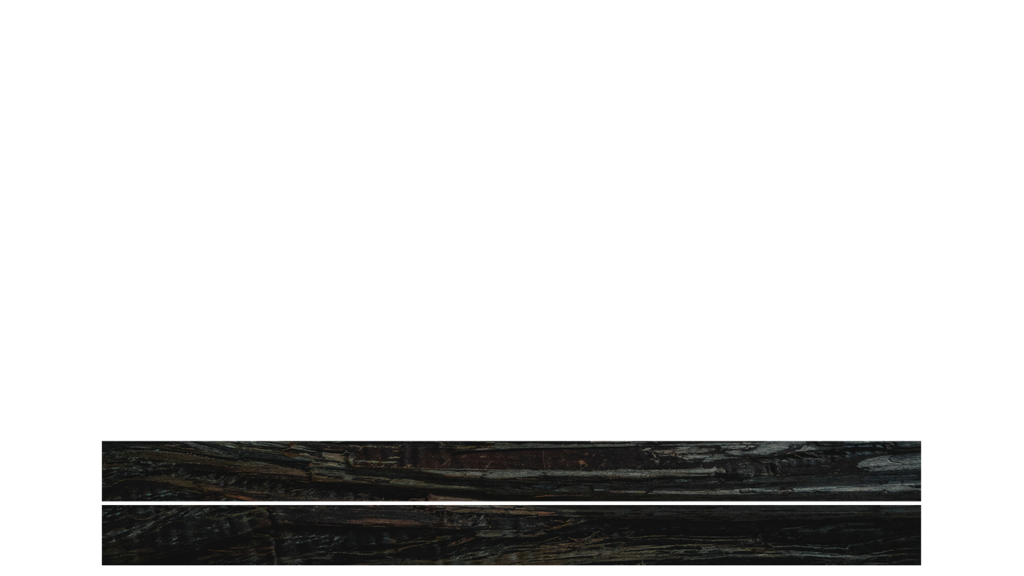 Winter Woods Lower Third Blank 02