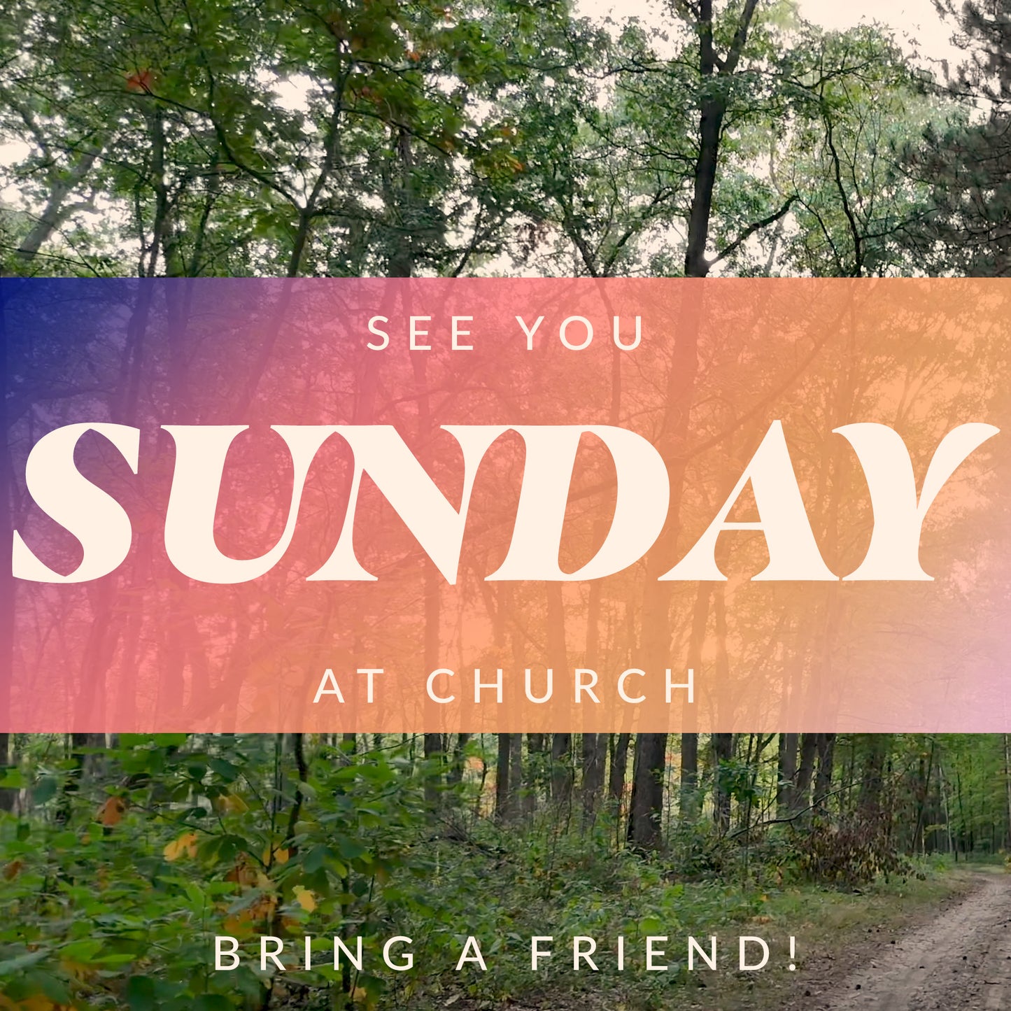 The Forest Grow in Grace Sunday