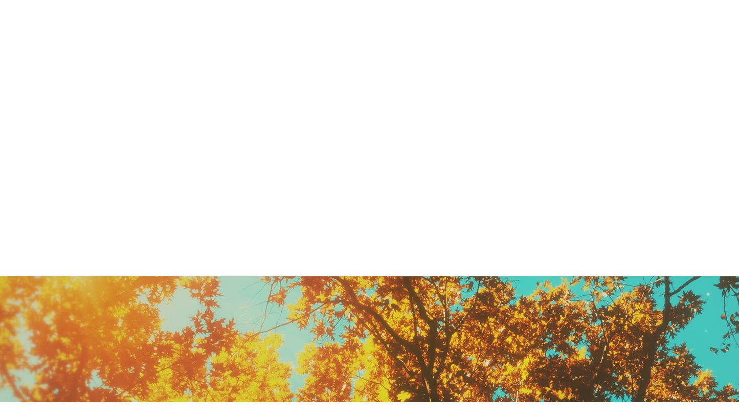Autumn Canopies Lower Third 6