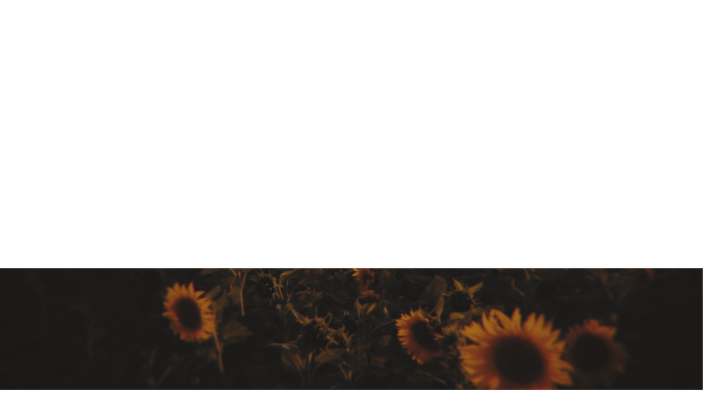 Vintage Sunflowers Lower Third 1