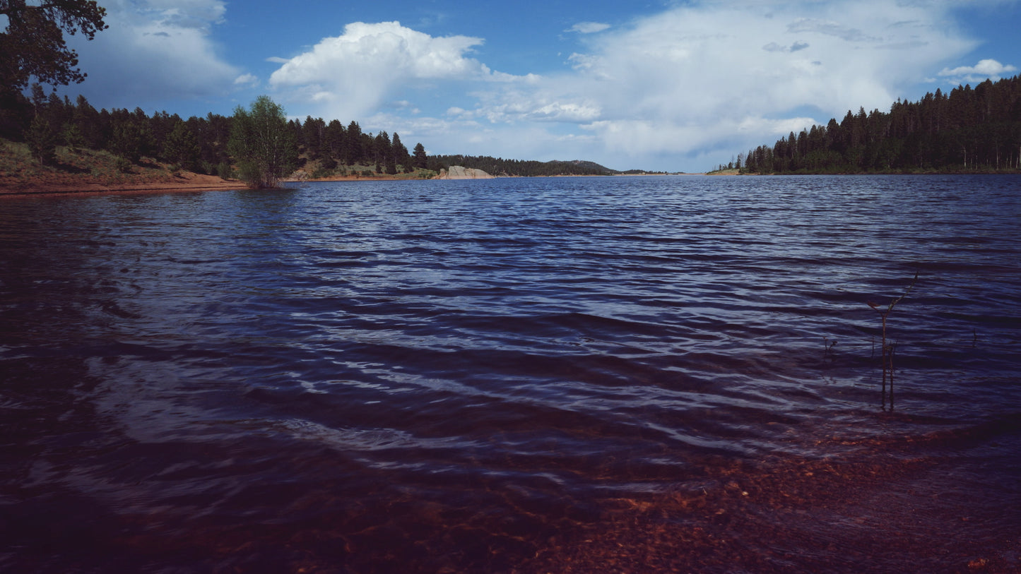 Nature Walk Panorama