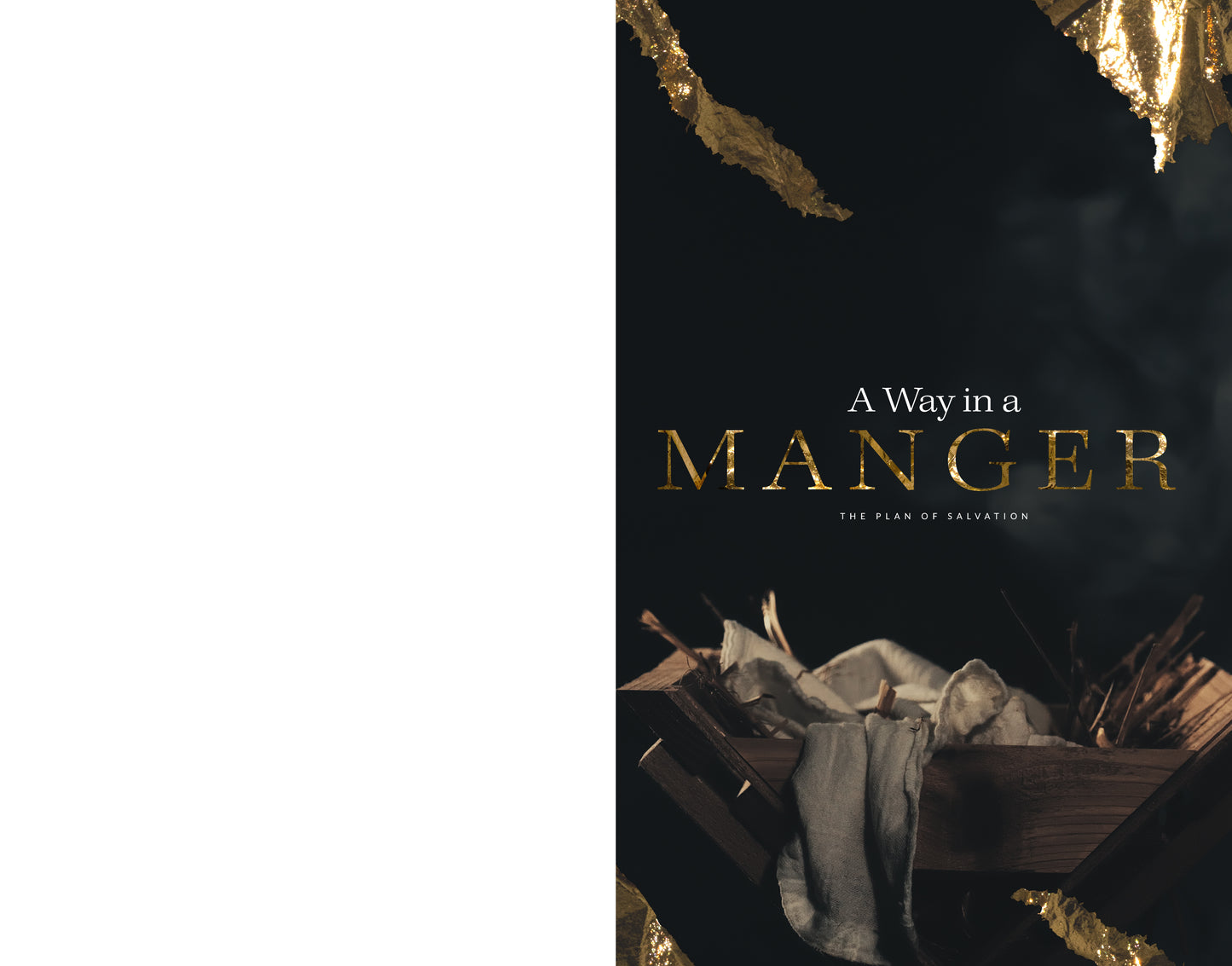 Nativity Manger 8_5X11 Bulletin