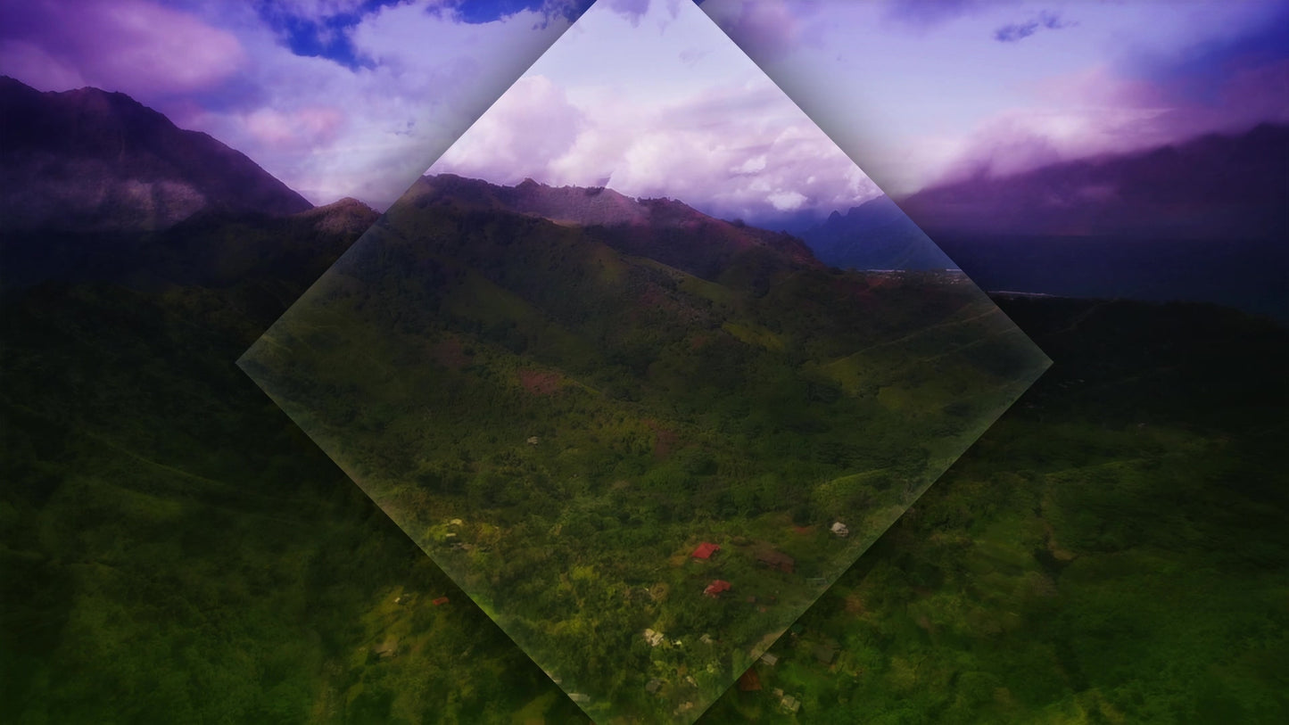 The Hills Valley