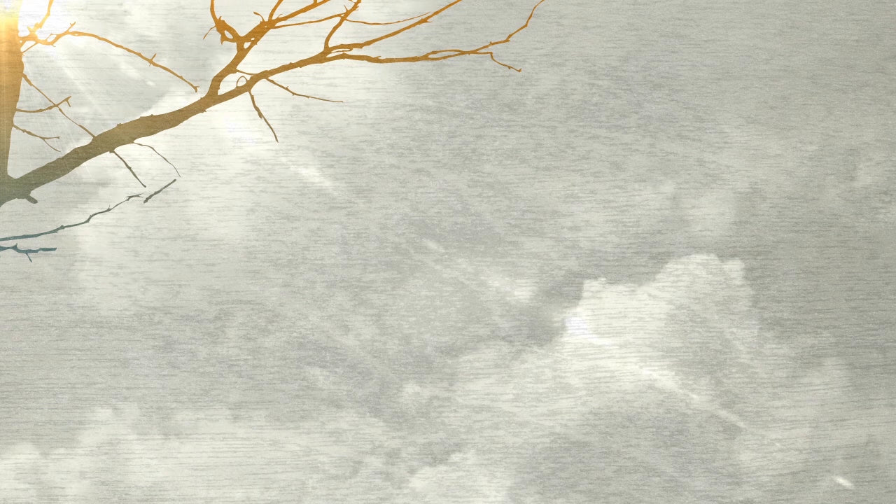 Thanksgiving Clouds 02 Still