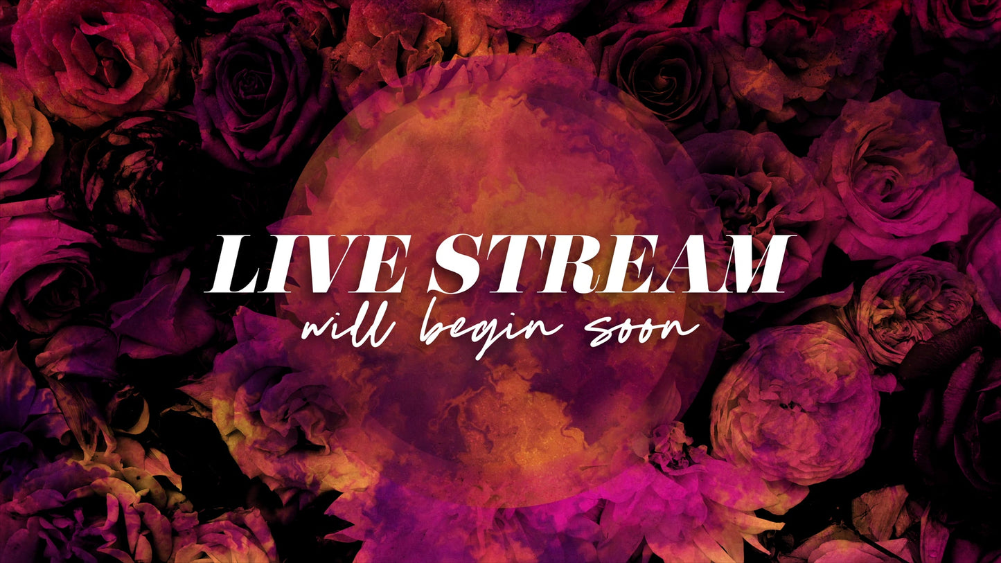 Floral Paint Live Stream