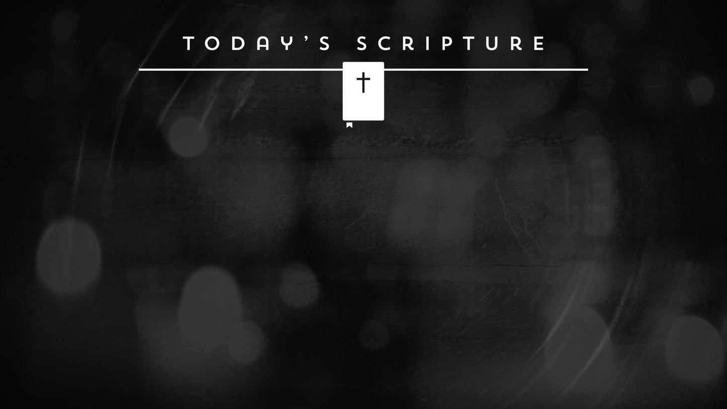 Nighttime Christmas Scripture Still