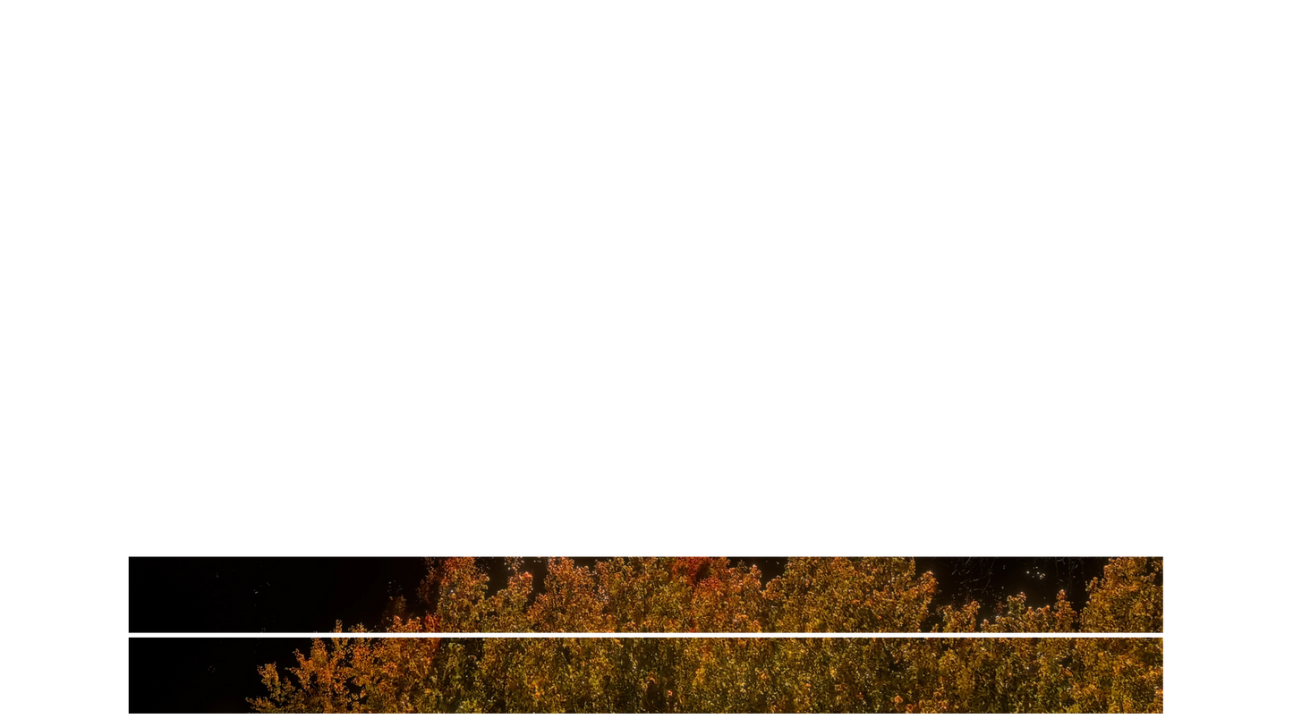 Fall Foliage Lower Third Blank 02
