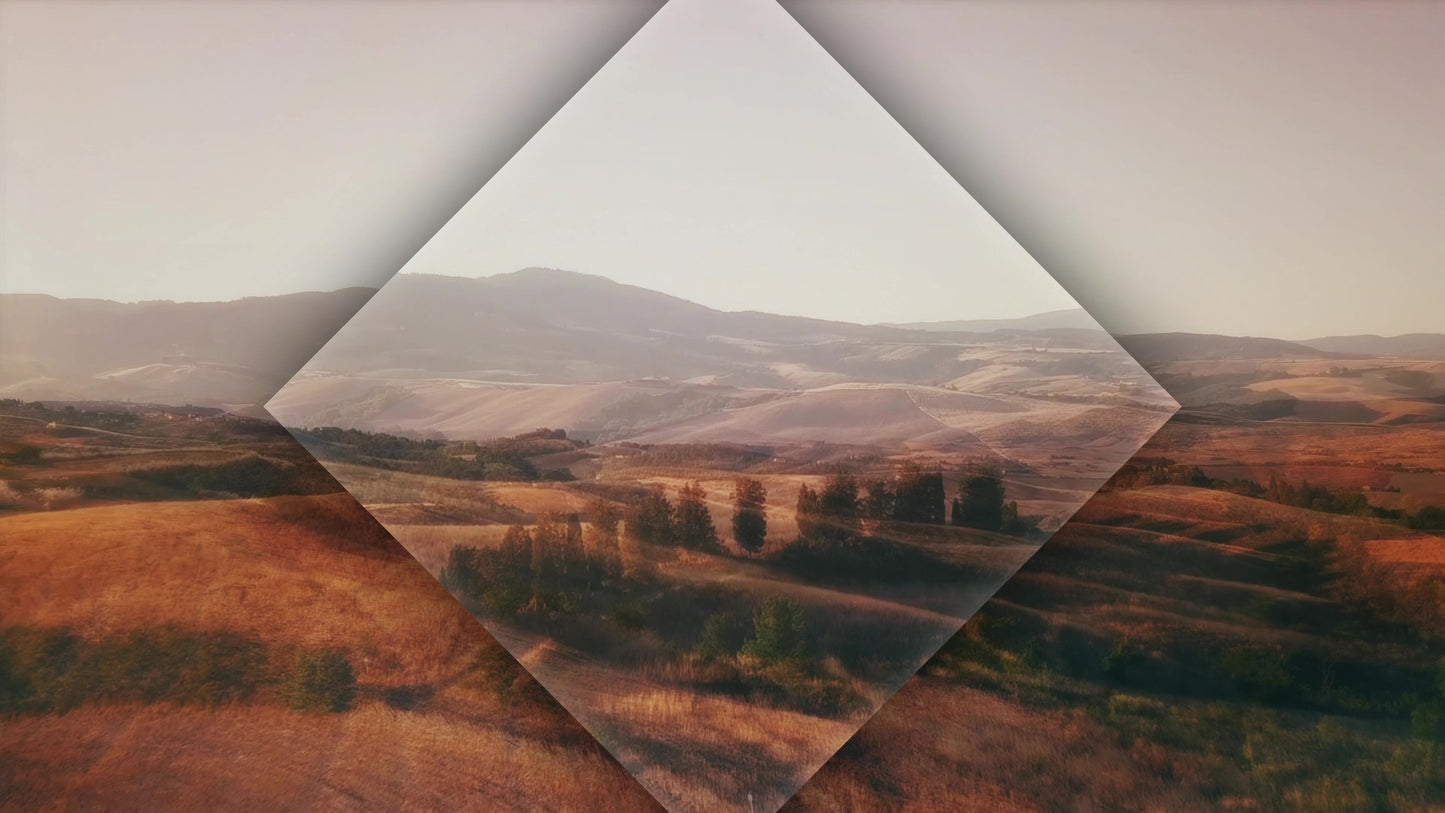 The Hills Fields