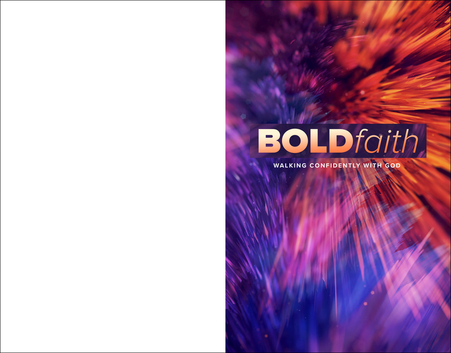 Beautiful Disruption Bulletin