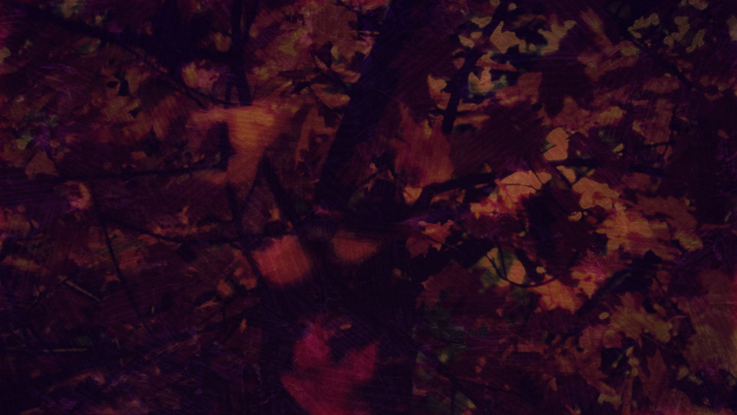Fall Into Grace Still 7