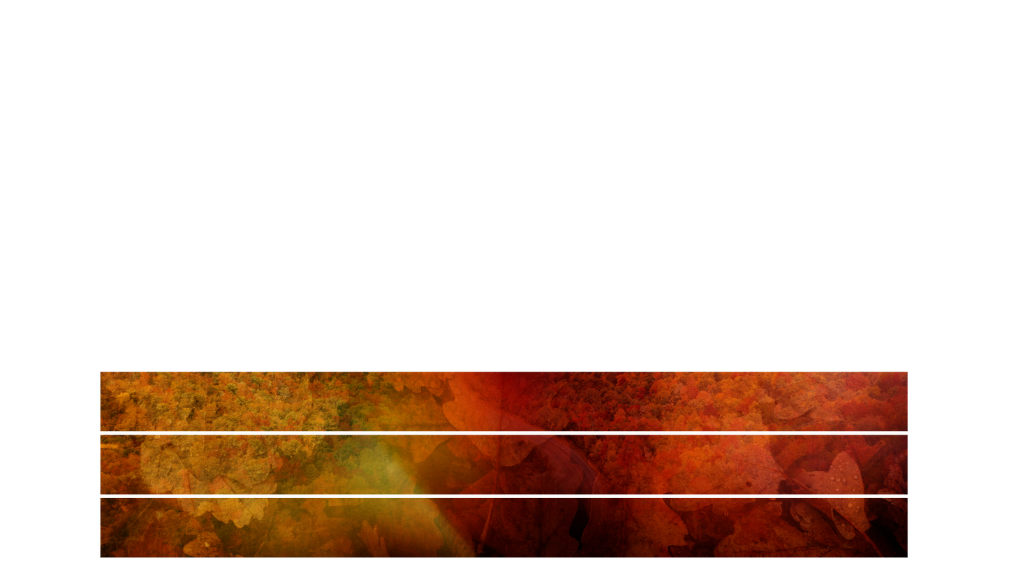 Subtle Fall Lower Third Blank 03