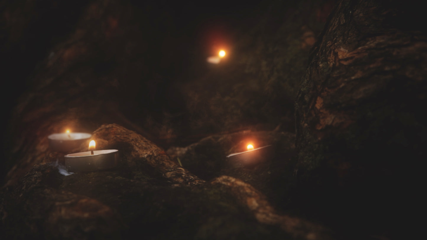 Willow Lights Secret