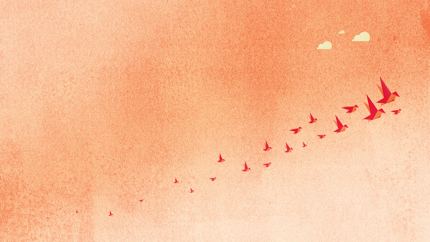 Origami Birds