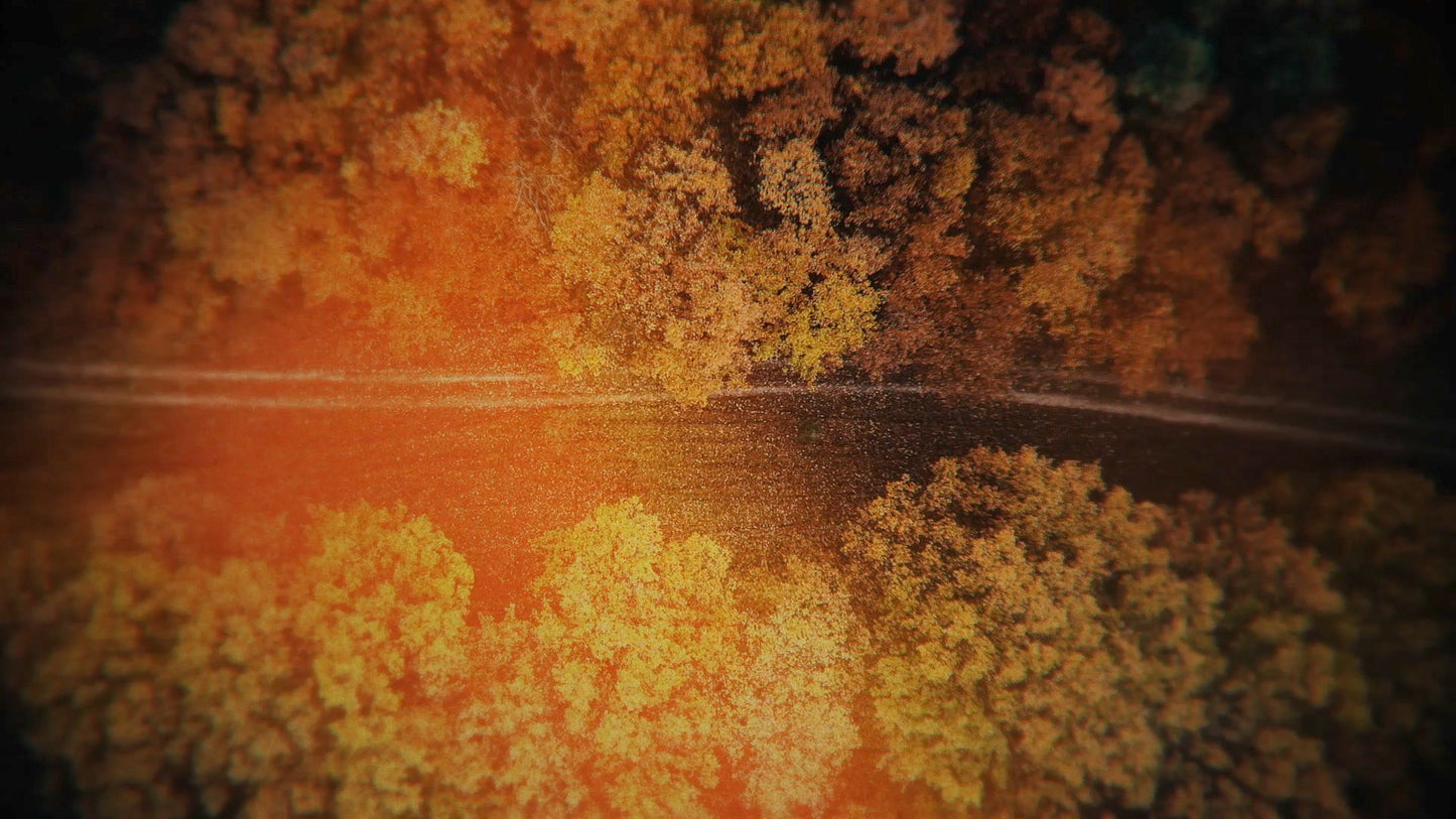 Aerial Journey 5 Still