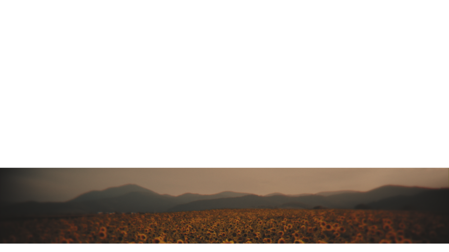 Vintage Sunflowers Lower Third Full 3