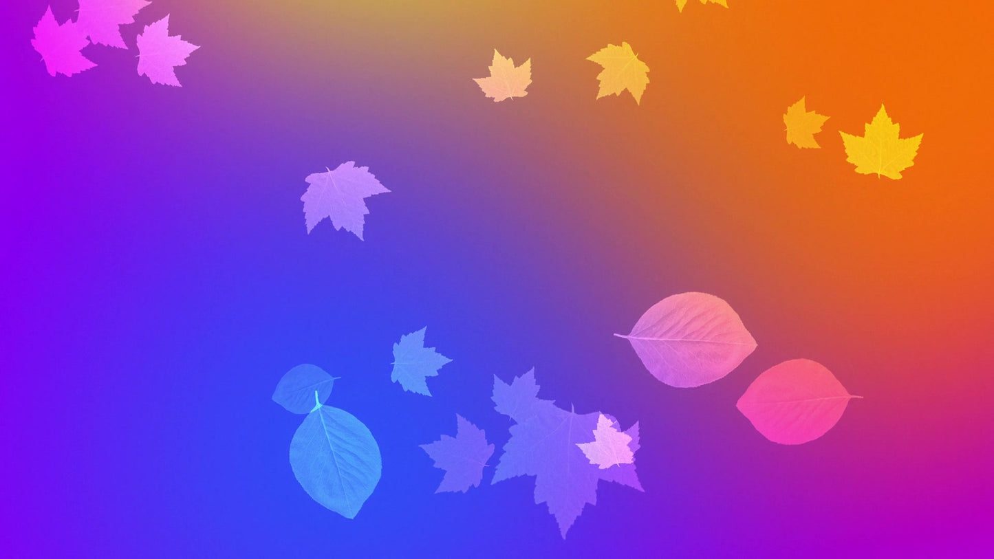 Vibrant Fall 04