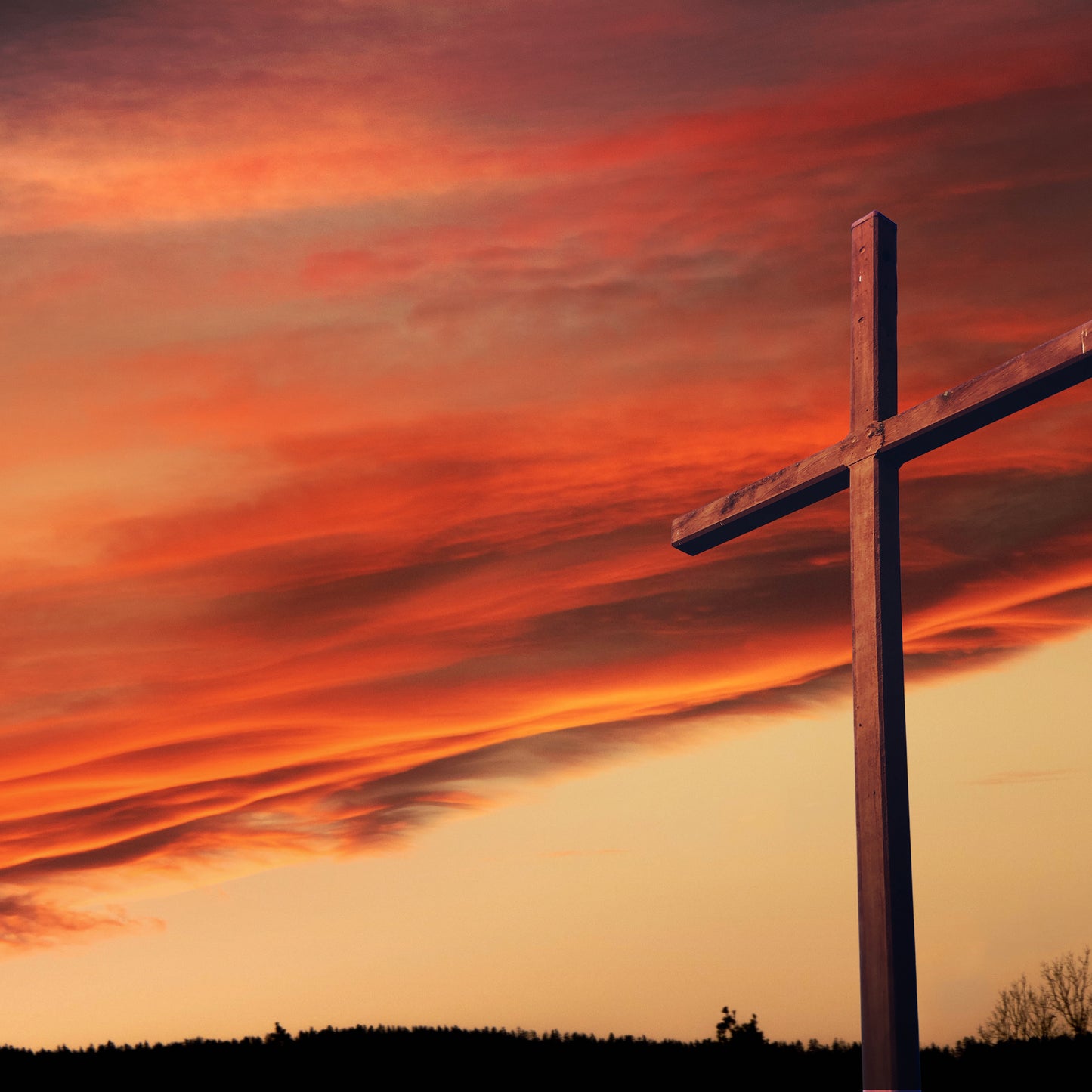 Risen Indeed