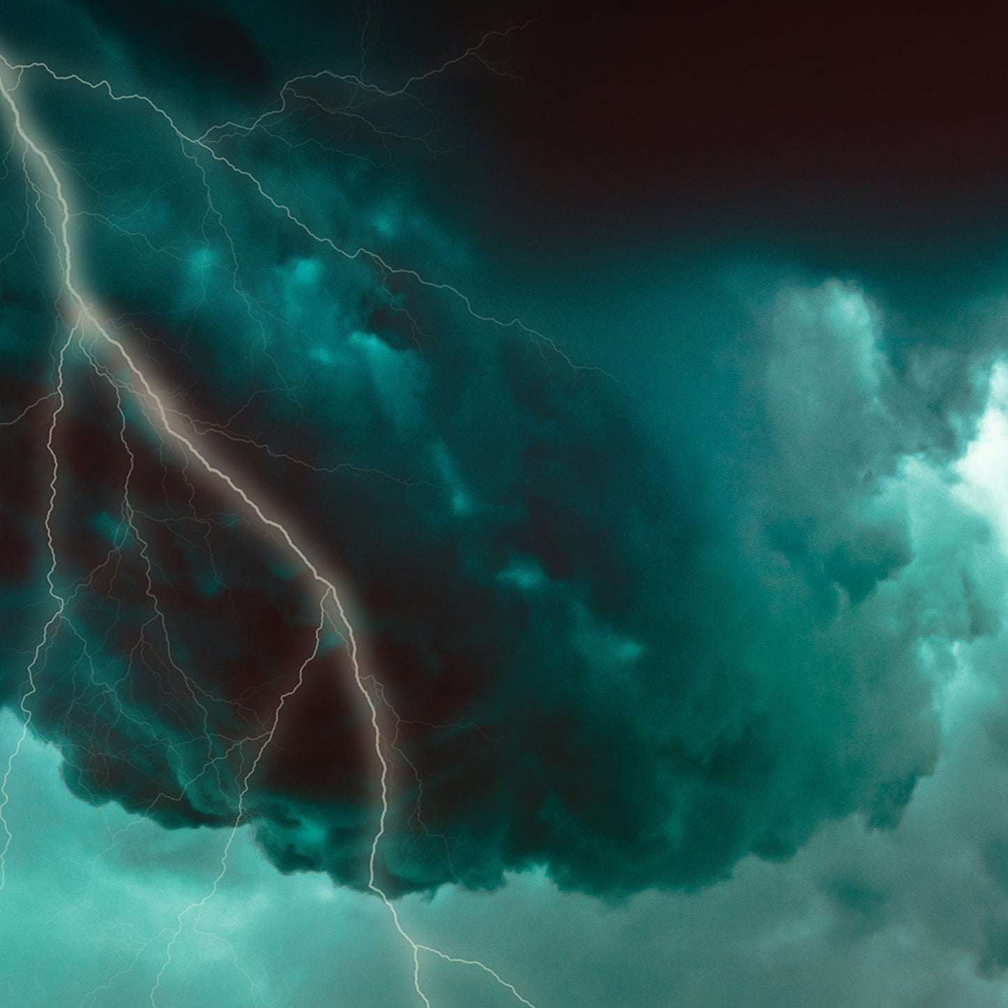 The Storm Will Pass