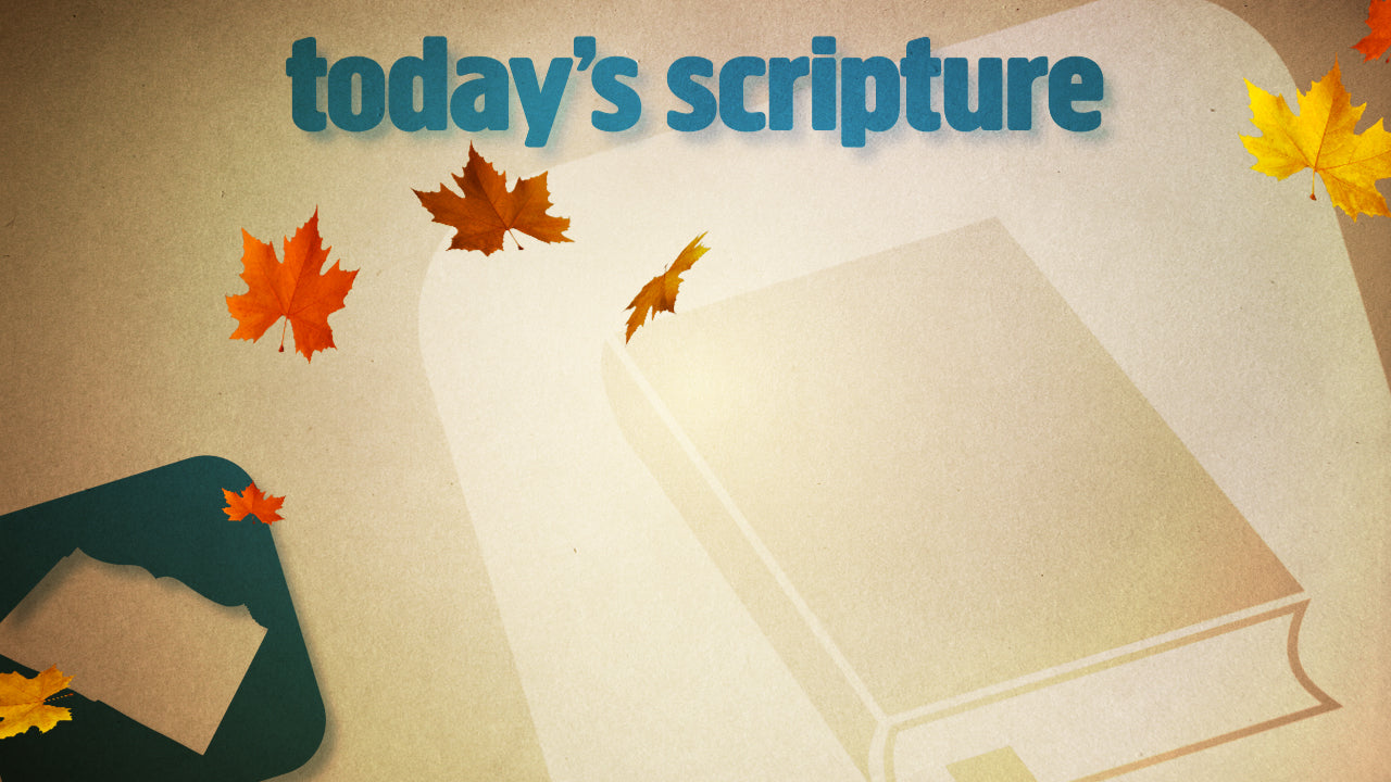 Scripture Fall Still