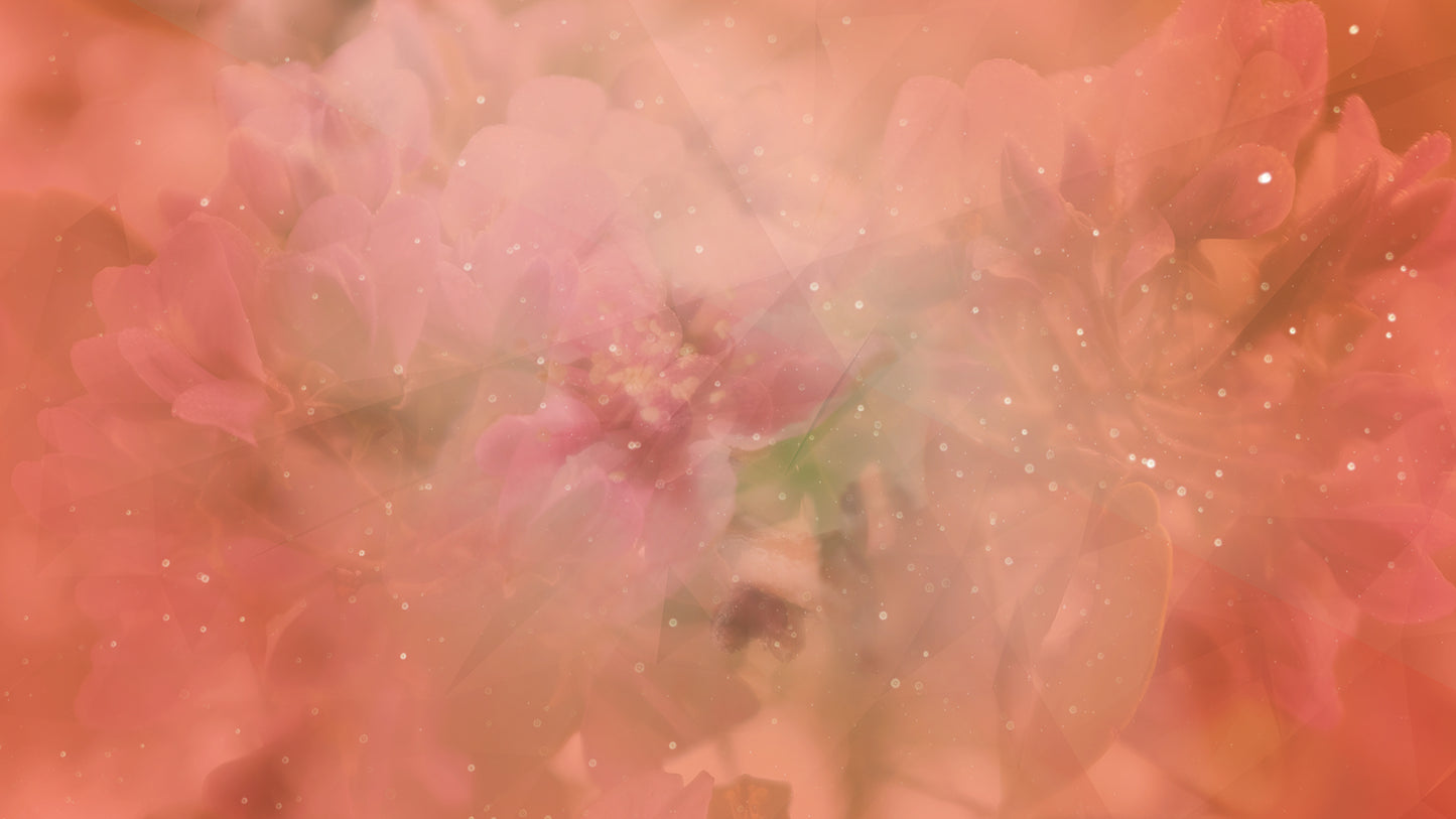 Spring Geometry Pink Flowers One