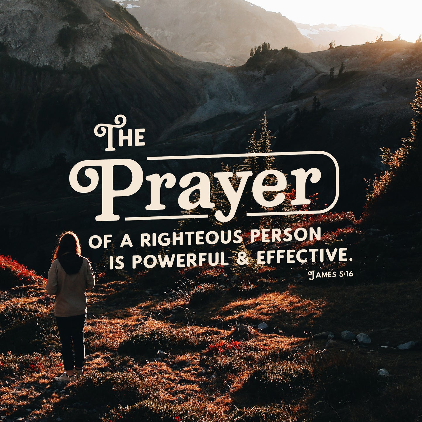 James 5:16 Prayer