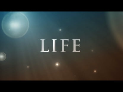 Life Inspiration