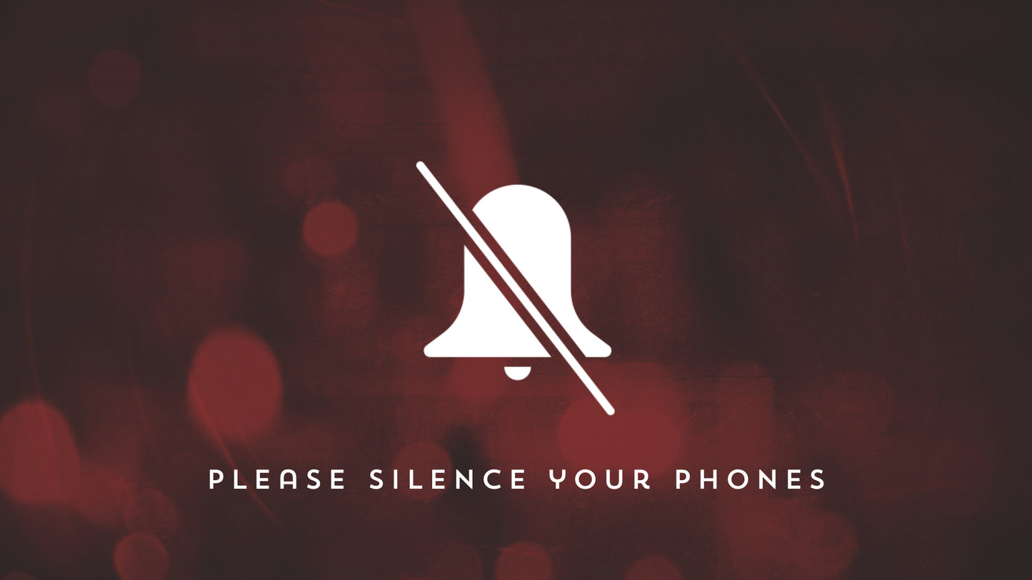 Nighttime Christmas Phone Still