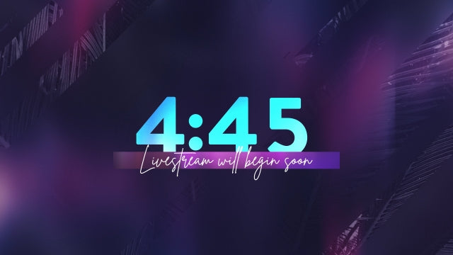 Easter Journey Palms Livestream Countdown