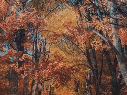 Rustic Autumn 4