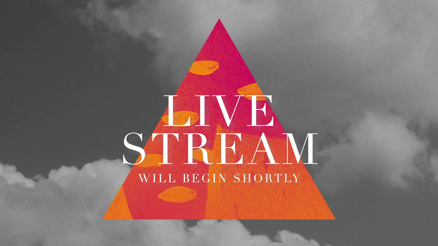 Vibrant Nature B Live Stream