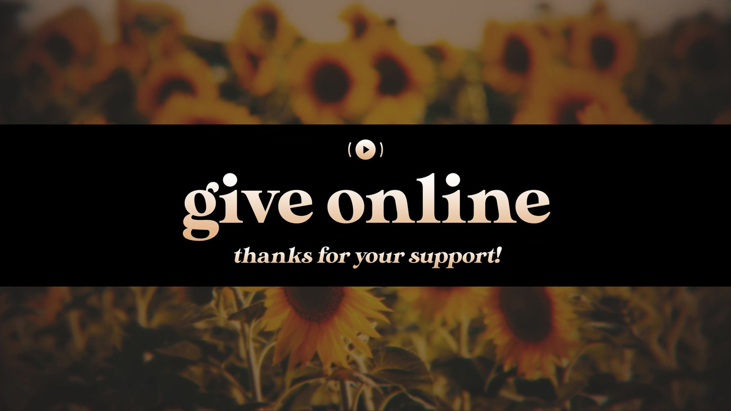 Vintage Sunflowers Give Stream