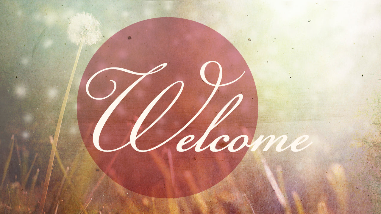 Dandelion Welcome
