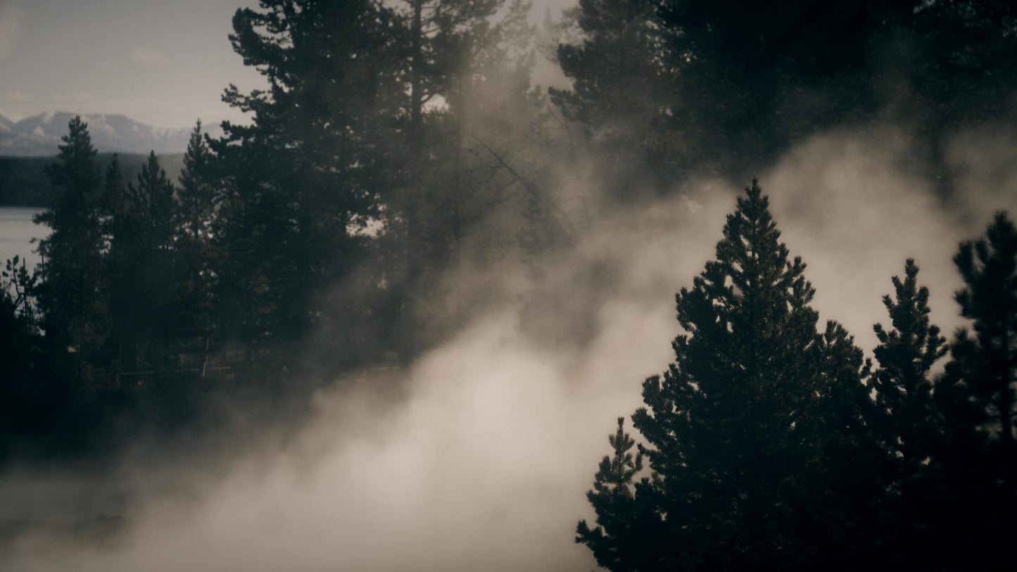 Misty Lent Vista