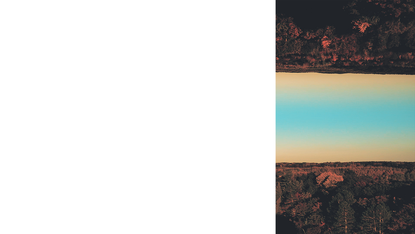 Foliage Remixed Lower Third Right Blank