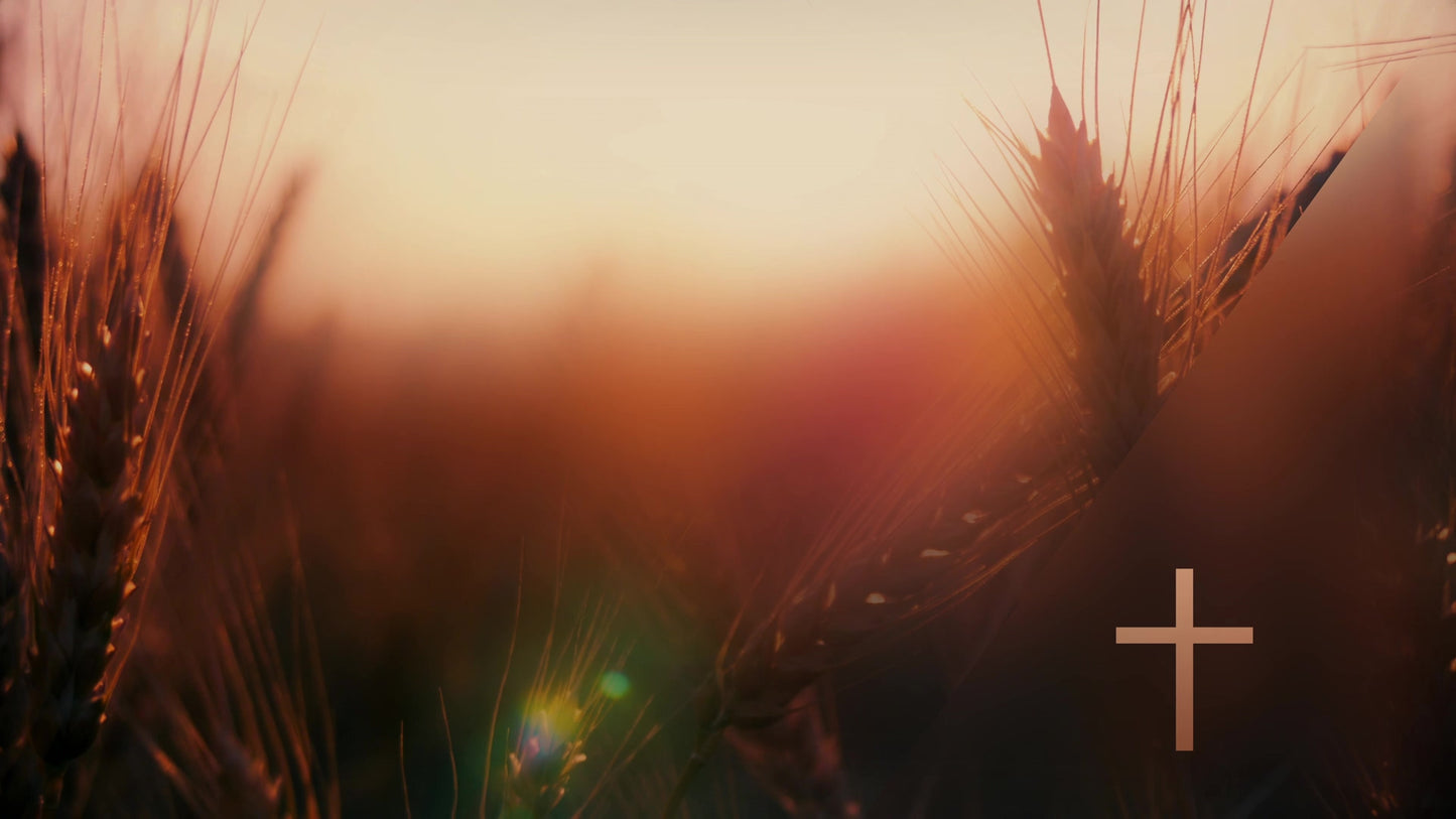 Days End Bounty Cross