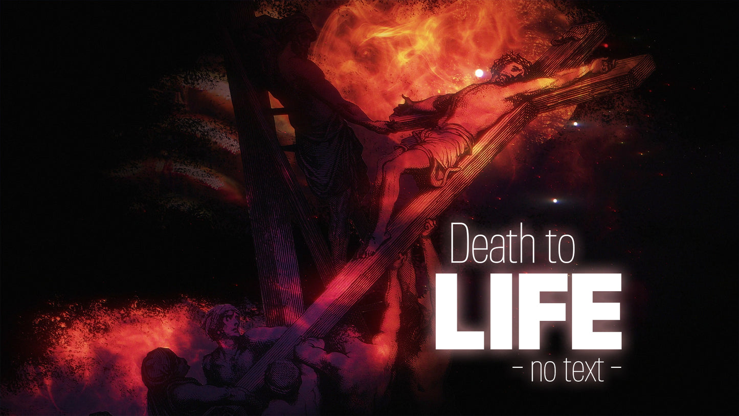 Death to Life No Text