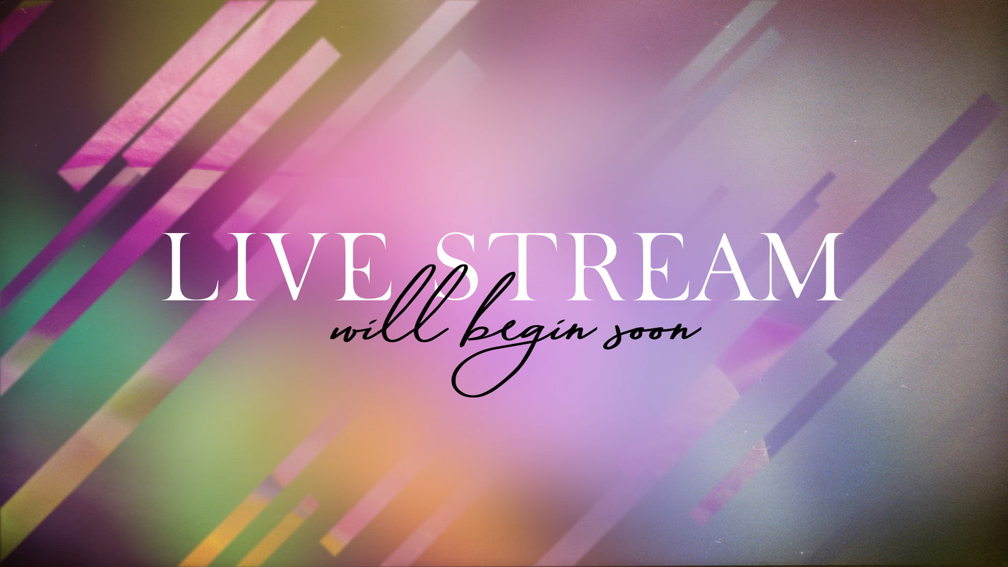 Spring Journey Live Stream Still